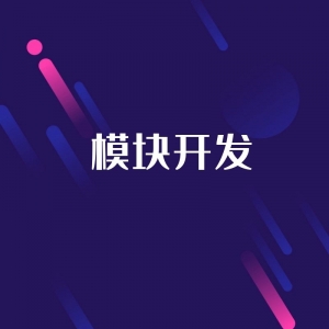 用友模塊開發(fā)
